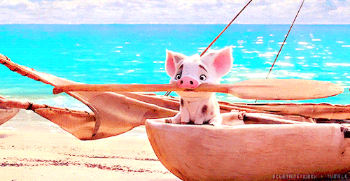 oceanianetwork:Pua + Moana’s Oar