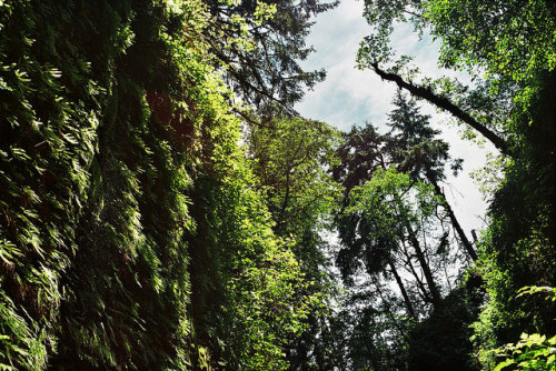 definitelydope:  lord the air smells good today 