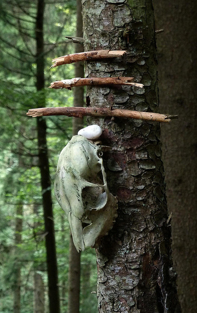 nordravn:  Strange by Claude@Munich on Flickr. 