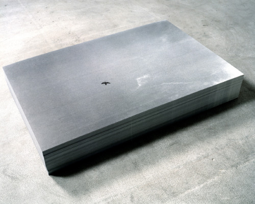 Felix Gonzalez-Torres, “Untitled”, 1992/1993, Print on paper, endless copies 8 in. at id