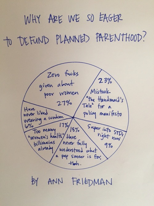 annfriedman:  The “Women’s Health Issues” Pie If this is 100% not you, donate. More pie charts here.