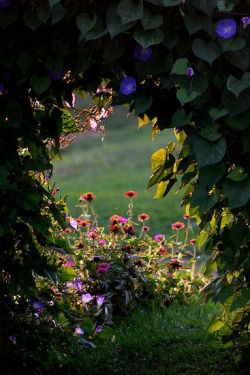 swansong-willows:Mary Yoder’s Garden Gate