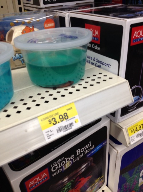 marymargaret23: Okay, listen up. I’m hear to talk about fish abuse. I’m in Walmart with 