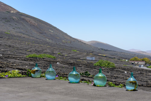 Iles Canaries en couleurs.Canary Islands in colors.