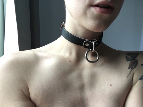 XXX camdamage:Collar time with Mister Hound just photo
