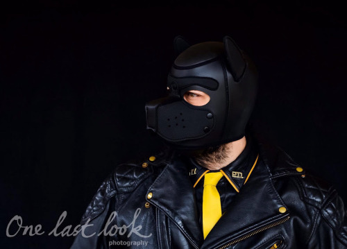 bearconcentrate:  Wow!!! My mate just has his neoprene dog hood arrive and did this quick photoshoot!Looks amazing… that is one hella sexy leather dog my friend!!!Love your gear @mrsleather   Woof!!!