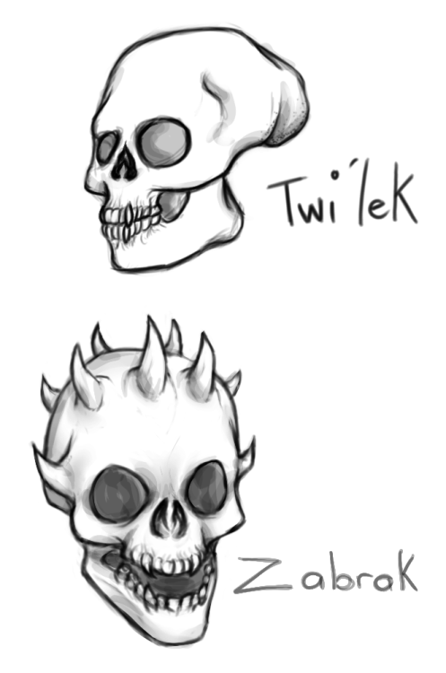 radicalrebelcat:radicalrebelcat:I saw this post by @moonstarturtle about Lasat skulls, and it got me