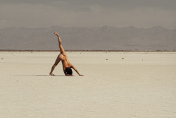 caciazoo:  Death Valley Cacia Zoo by Dan