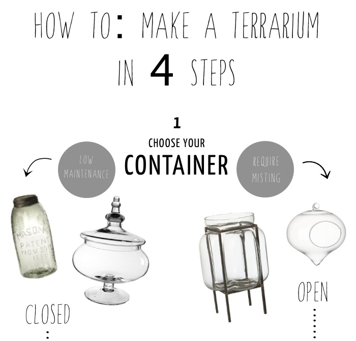 allotment86:  How to make a Terrarium in 4 steps … The size of your container will