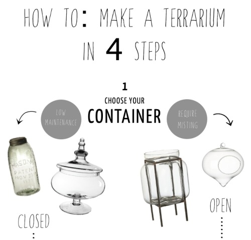 allotment86:How to make a Terrarium in 4 steps … The size of your container will affect the amount