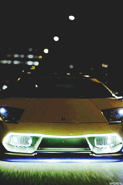 mrcheyl:  Lamborghini Bosozoku Yakuza [x]