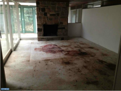 terriblerealestateagentphotos:  Ah, the parties we used to have. Do you remember the one when we murdered everybody? 