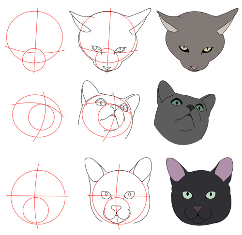 amorpha-system:  anatomicalart:  fucktonofanatomyreferences:  A wicked fuck-ton of feline anatomy references.  1 2 3 4 5 6 7 8 9 10  Really really useful for anyone who wants to draw cats!
