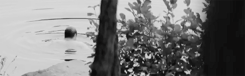 tdcat: Alex Roe as Evan in the 5th wave trailer