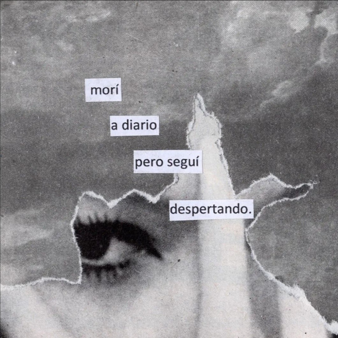 incredulxs:ig: @hostigamiento 