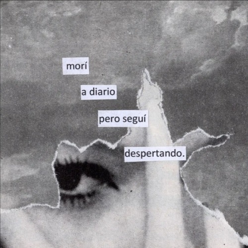 incredulxs:ig: @hostigamiento 