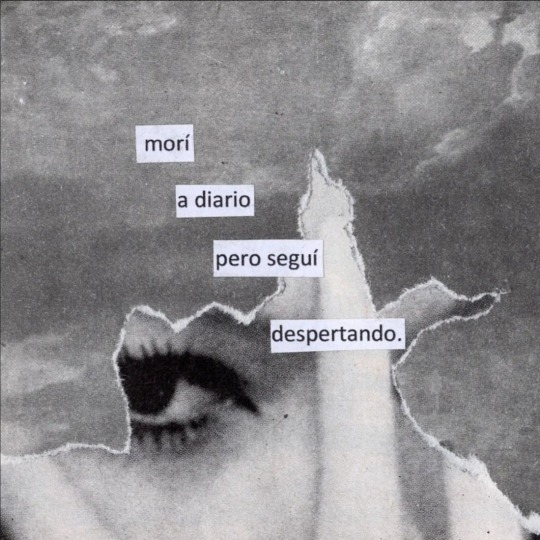 incredulxs:ig: @hostigamiento 