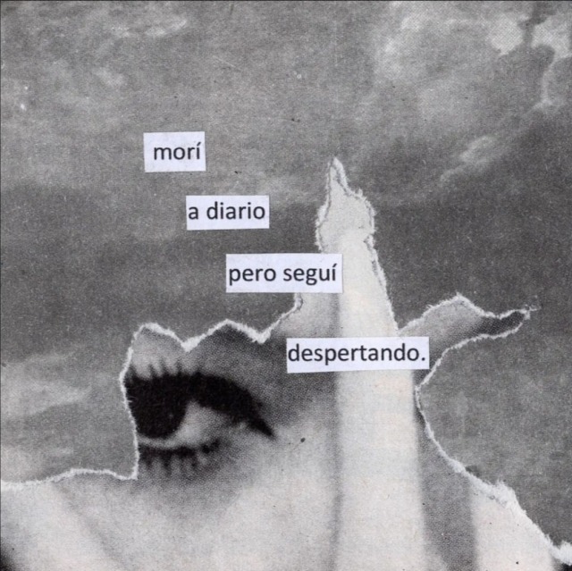 incredulxs:ig: @hostigamiento 