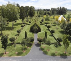 itscolossal:  A 100-Seat Church Constructed From Living Trees in New Zealand by Barry Cox