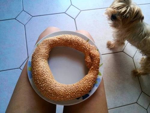 Always hungry #doglife. . . . . #snack #healthy #eatclean #healthyfood #tasty #afternoon #nutritio