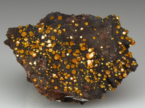 Porn Pics mineralists:  Wulfenite on Gossan matrix.