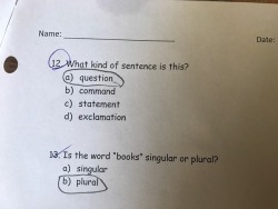 thoughtsof-r:  alright, @ english tumblr. i need some help.   my sister lost a point because she circled the wrong answer on #12… and i’m just trying to figure out how?   “What kind of sentence is this?” isn’t a question?  e. trick question