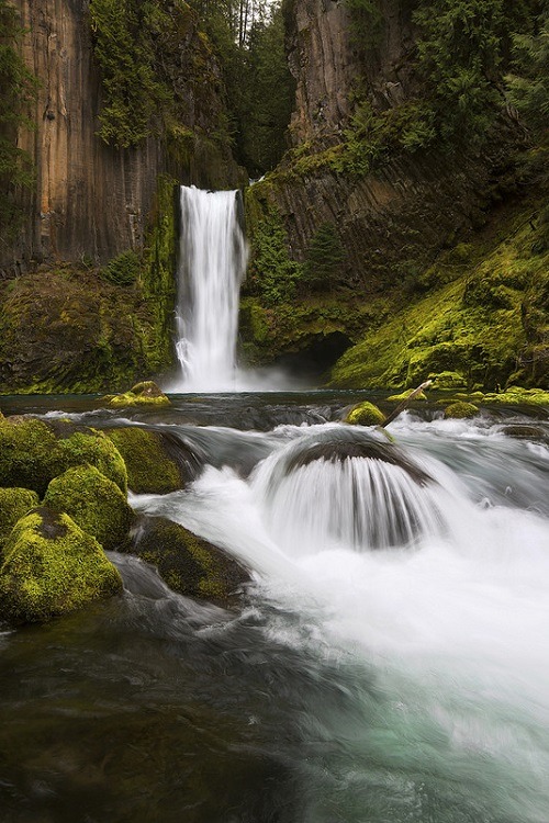 ponderation:  Toketee Falls by Laura Ashburn