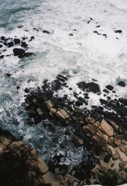 disminucion:   Sri Lanka.2010. No.223/編號223  