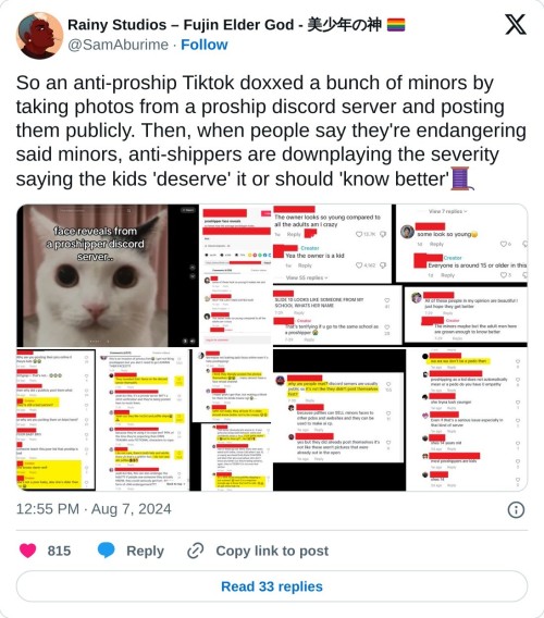 So an anti-proship Tiktok doxxed a bunch of minors by taking photos from a proship discord server and posting them publicly. Then, when people say they're endangering said minors, anti-shippers are downplaying the severity saying the kids 'deserve' it or should 'know better'🧵 pic.twitter.com/5reYyJiliq

— Rainy Studios – Fujin Elder God - 美少年の神 🏳️‍🌈 (@SamAburime) August 7, 2024