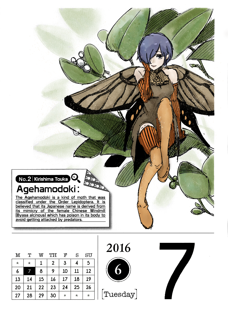 June 7, 2016The hue of the wing as well as the pattern of the scarlet spots of the