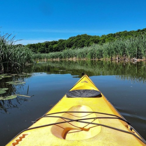 Kayak state of mind Irondequoit Creek views by Claire. #thisisroc #roc #explorerochester #ispyny #ro