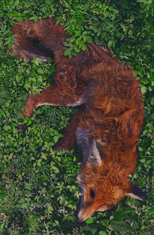 georgeouthwaite:At a Fox’s Wake AprilDigital