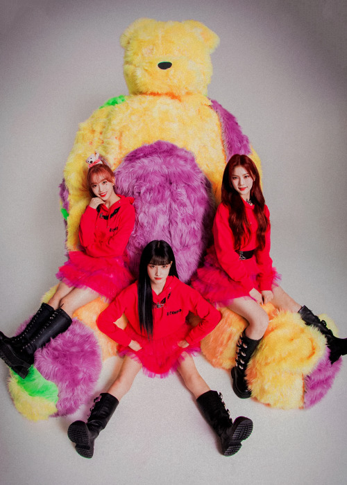Sex dailystayc:   [Teddy Bear] Concept Photo pictures