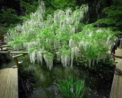 quiet-nymph:    Photography by Kohei Yamaguchi