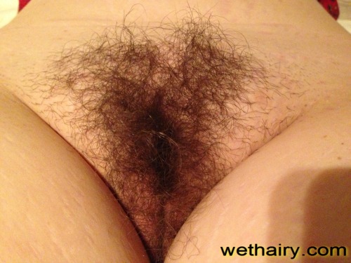 Hairy Pictures