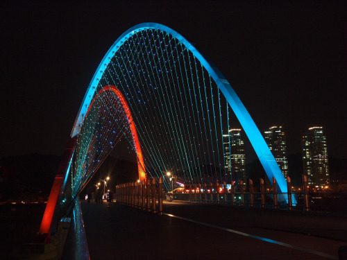 fyeahkorea: Expo Bridge at night in Daejeon, South Korea