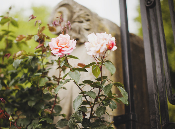 jacindaelena:  by Carrie WishWishWish