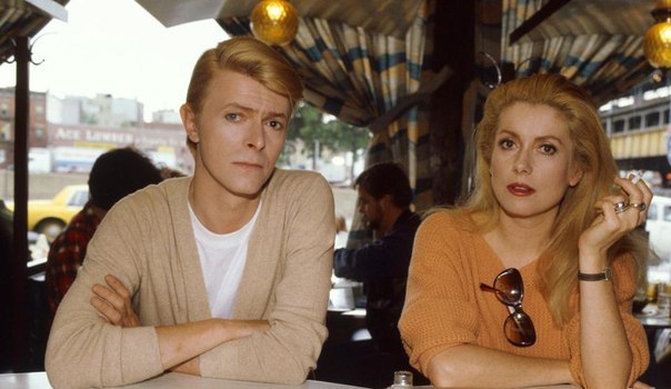 cinemarhplus:  David Bowie and Catherine Deneuve