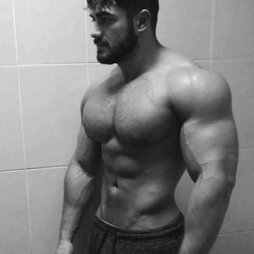 bruisedfaggot: His muscles drew my attention. The scent of His pheromones lured me in. His rugged go