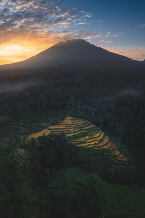 lsleofskye:  Bali, Indonesia | jordhammond