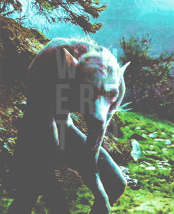 bahtmun:  Fantastic Beasts and Where to Find Them by Newton Scamander         