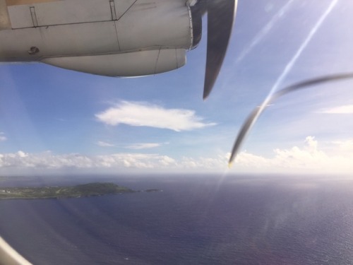 Goodbye, Saipan! I hope I get to come back again someday.