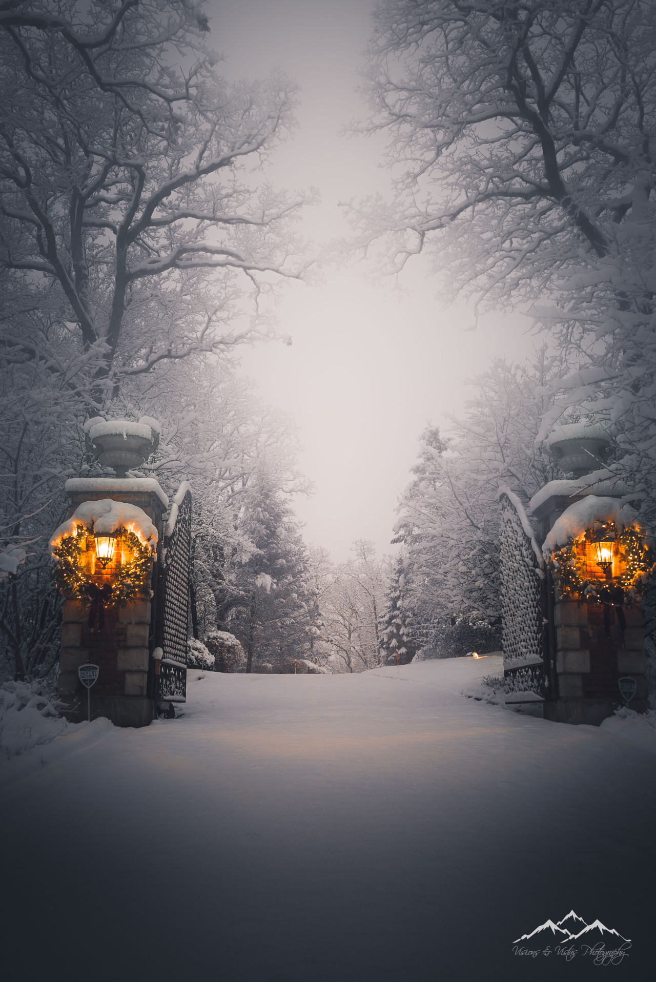 visionsandvistas:‘Tis the Season