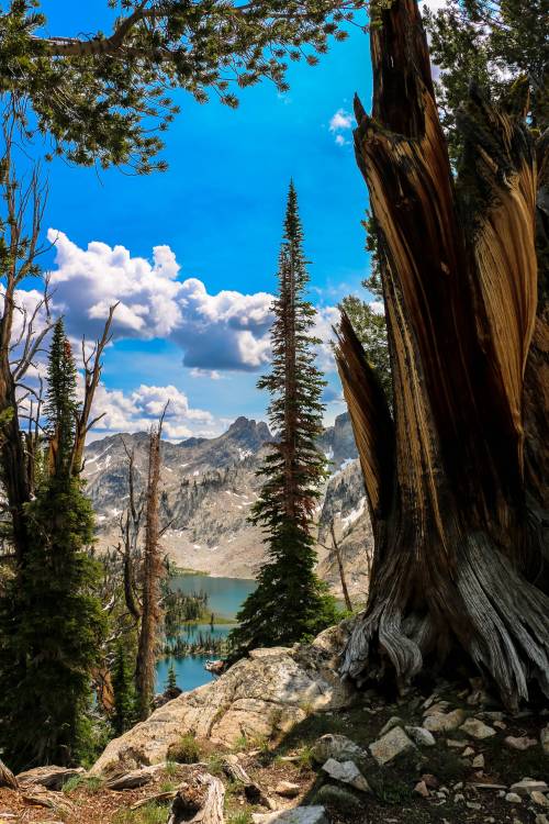 rediscoveringearth: Twin Lakes, Idaho | by Mike SandersMore of our amazing world