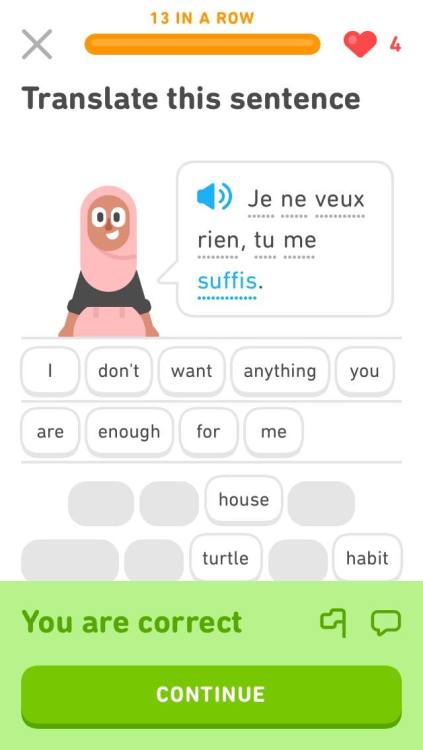 wtfduolingo - [Image transcription - “Je ne veux rien, tu me...