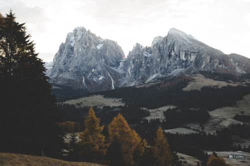 heidigrainger: samelkinsphoto: Dolomites, Italy. One of the most unreal places on earth. + nature