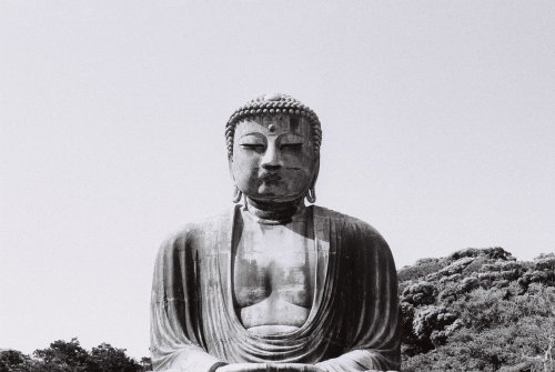 the great buddha・鎌倉大仏kamakura・鎌倉japan・日本may 2016pentax program plusexpired fujifilm neopan 400