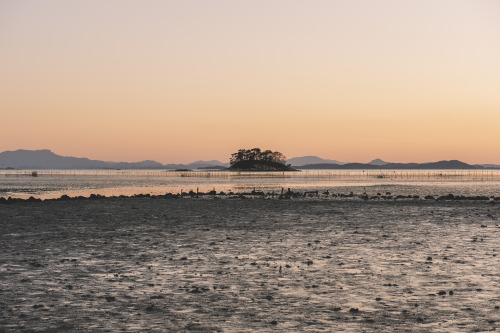 2013-10-12 Waon Beach, Republic of KoreaNikon D4 + AF-S NIKKOR 24-70mm F2.8G EDInstagram  |  hwantas