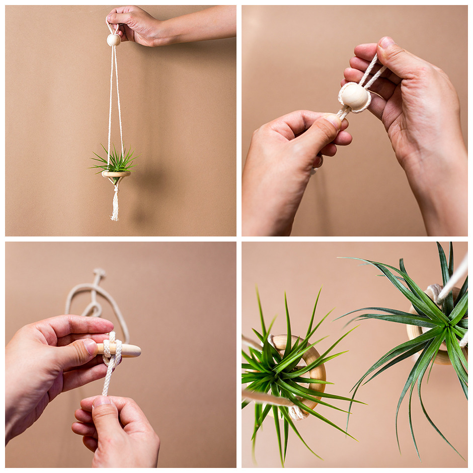 DIY Crafts — DIY INSPIRED BY… | TILLANDSIA PLANTER ...