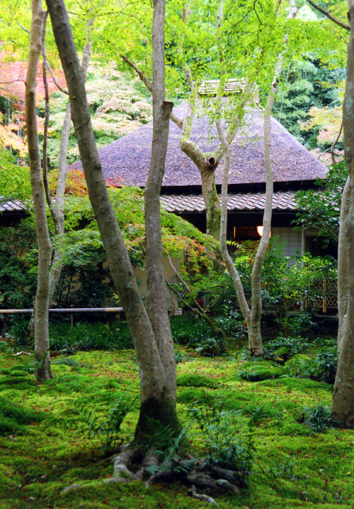 「静かな佇まいの草庵」　by吉田隆